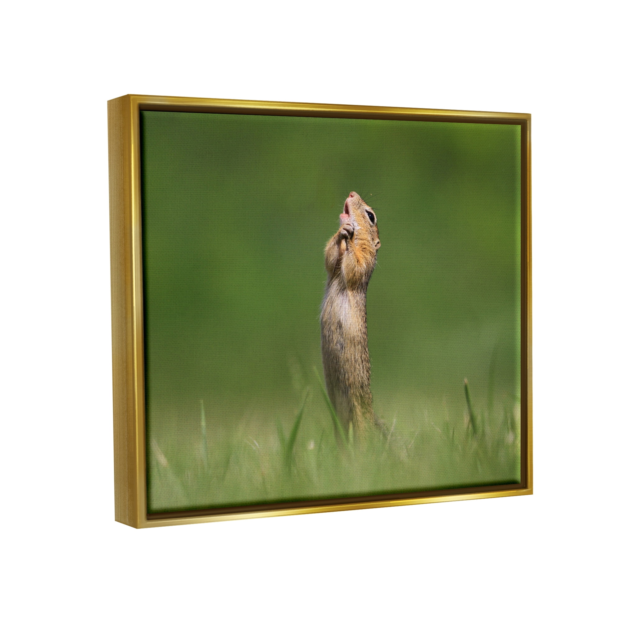 Stupell Industries O Sole Mio Funny Animal Animals & Insects Photography Gold Floater Framed Canvas Art Print Wall Art, 31 x 25