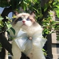 thumbnail image 3 of SPRING PARK Dog Neck Collar with Bow-knot , Dog Bow Tie Bib Scarf for Small Medium Large Girl Pet Dogs Cats, 3 of 7