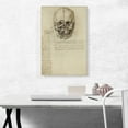 thumbnail image 2 of ARTCANVAS Studies of the Human Body - Skull Canvas Art Print by Leonardo da Vinci - Size: 26" x 18" (1.50" Deep), 2 of 9