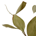 thumbnail image 2 of Bouclair Khaki Artificial Magnolia Leaf Stem, 2 of 2