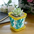 thumbnail image 5 of HemaKayy Decorative Planter Pot Set - Perfect for Small Plants - Colorful Design With Drainage Hole - Ideal for Home and Garden Decor - Set of 8 - Unique Marble Texture, 5 of 6