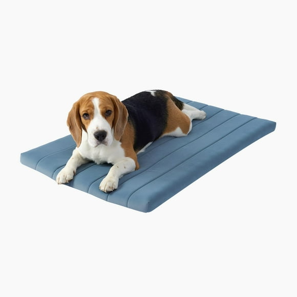 BALANCE Dog Crate Bed Orthopedic Dog Bed Pad with Waterproof Liner Washable Crate Foam Pet Mat for Large Medium Puppy Dogs Breeds Powder Blue 30""x19""x1.6""