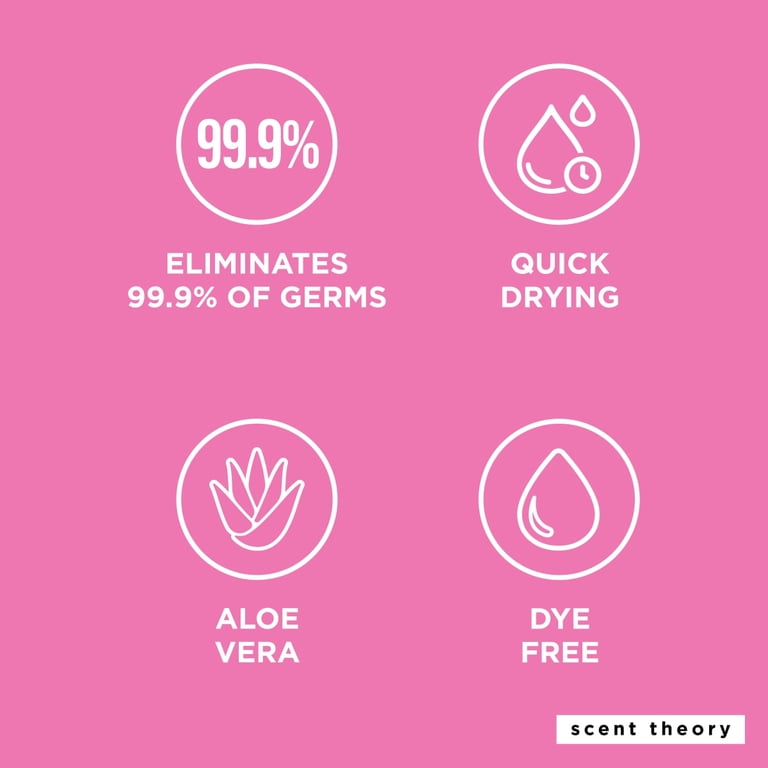 Scent Theory Hand Sanitizer Spray, Raspberry Mango, 1 fl oz