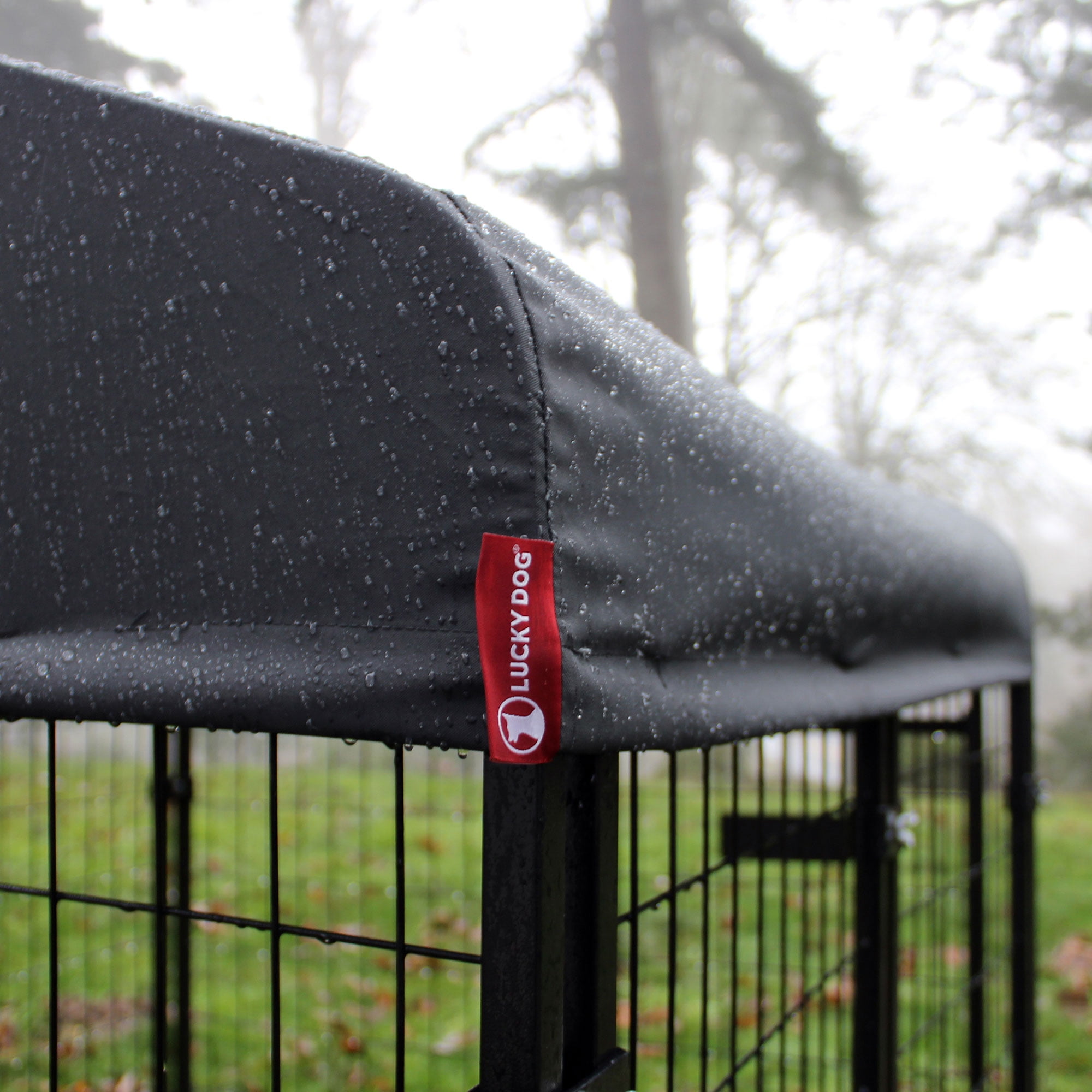 Lucky dog kennel 10x10 hot sale