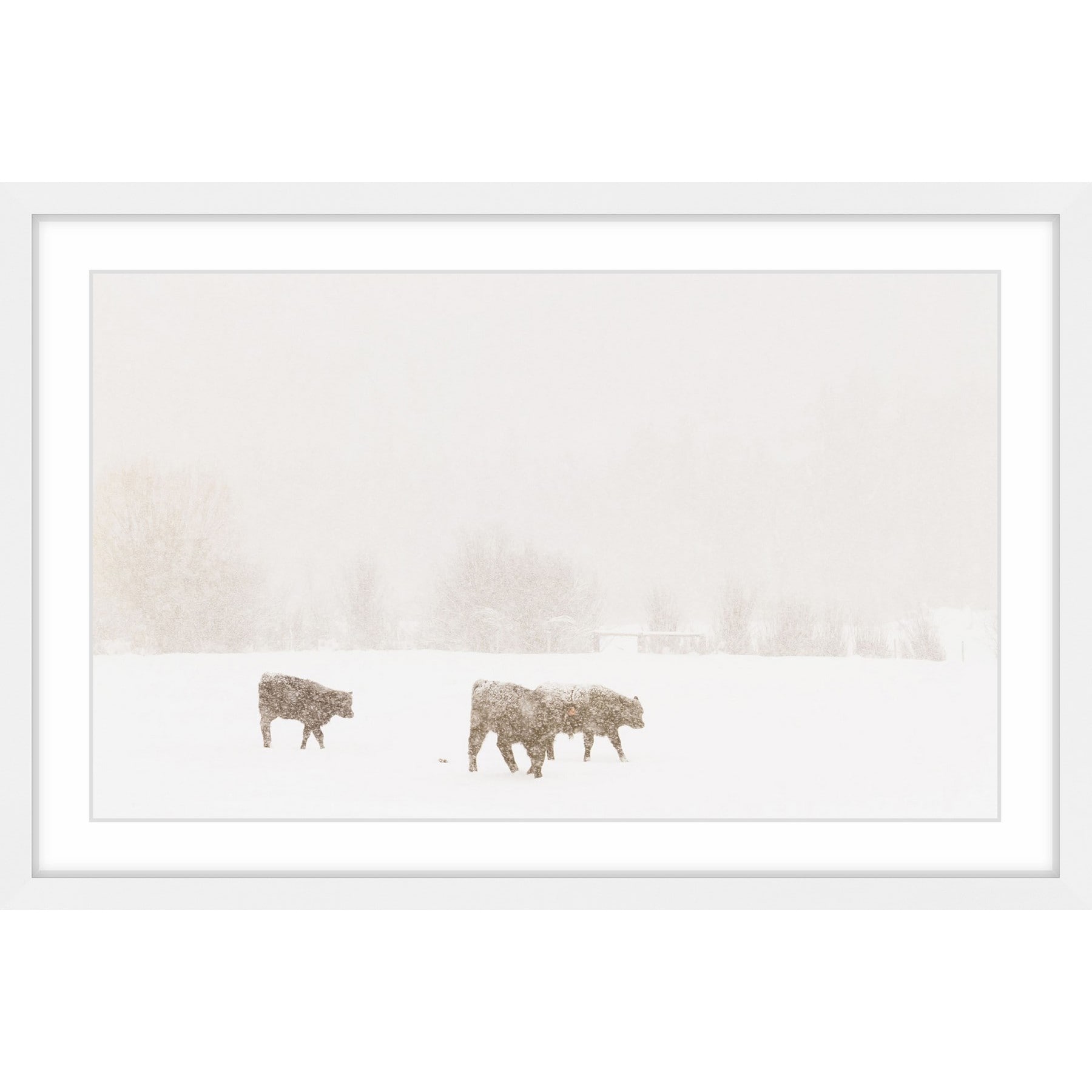 "In Search of Food" Framed Painting Print