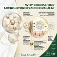 thumbnail image 4 of Aegabe Phytoceramides & Collagen Peptides Formula，Supports Skin Repair, Hydration, Firmness & Radiance, Reduces Fine Lines - 60 Day Supply, 4 of 10