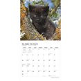 thumbnail image 3 of The Beauty of Black Cats | 2024 12x24" (Hanging) Wall Calendar | StarGifts, 3 of 9