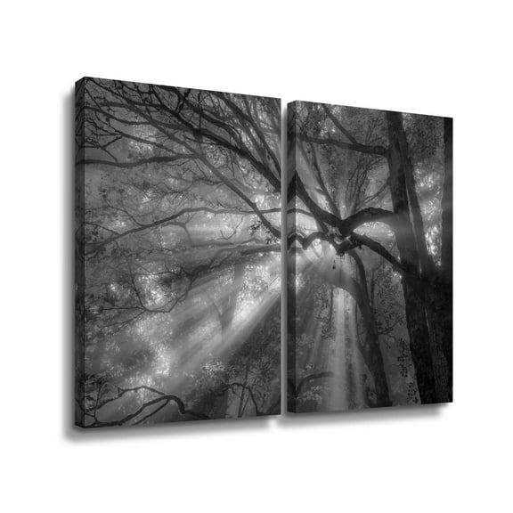 Artwall Forest Fog, 2 Piece Gallery Wrapped Canvas Set by Tim Oldford