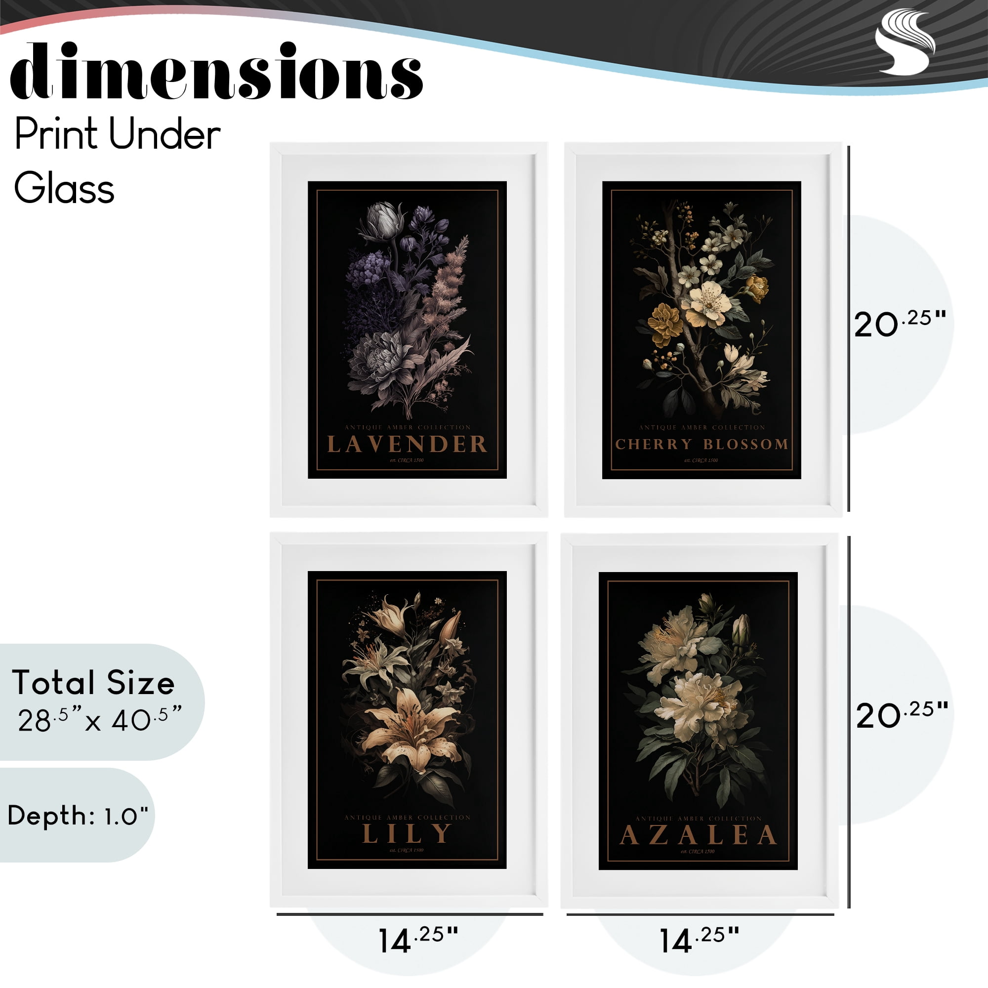 Stupell Industries Antique Varied Botanical Blooms 4 Piece White Framed Print Under Glass Set, design by Chris Giampietro