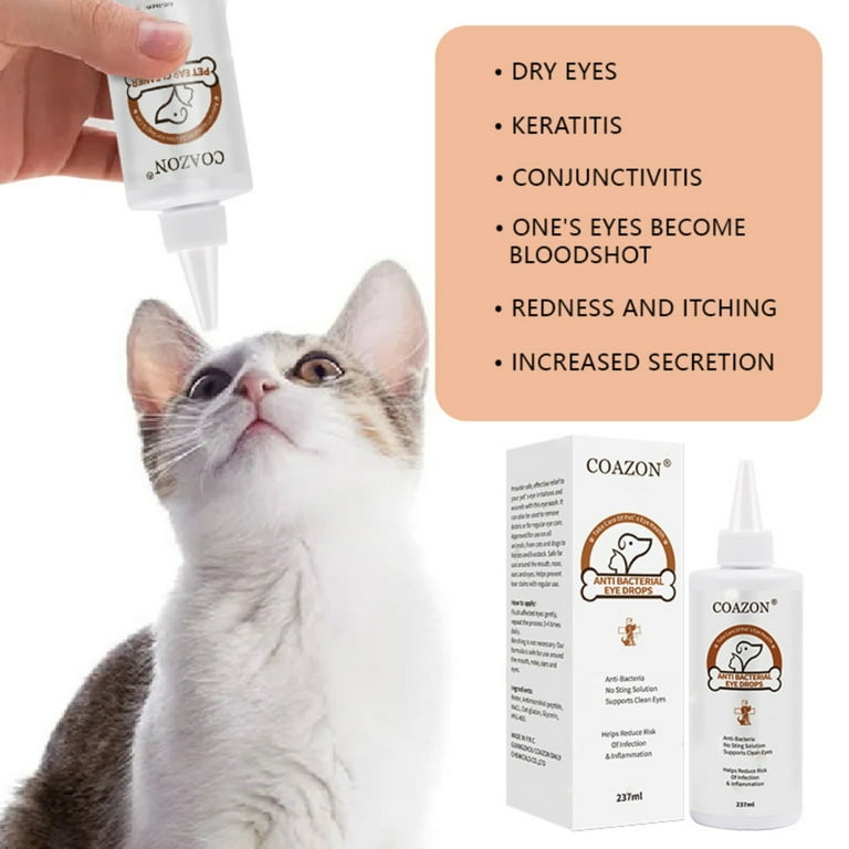 Eye Drops Conjunctivitis In Kittens Home Treatment Tips For