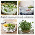 thumbnail image 3 of Terrarium en Verre Transparent Jardinière Hydroponique Décorative Vase en Verre Rond Aquarium, 3 of 9