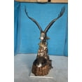 thumbnail image 2 of Nifao Eagle with nest Bronze Statue – Garden Outdoor Decor Sculpture, 36"L x 40"W x 63"H, 2 of 11