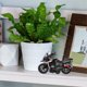 thumbnail image 4 of Modelo de Motocicleta de Juguete de Inercia para Niños Zhivalor BST3000174-2, 4 of 6