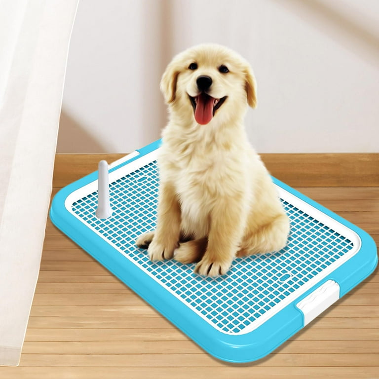 Dog toilet cheap in apartment