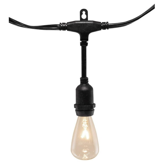 LumaBase Electric Commercial Grade String Lights with 12 Edison Bulbs