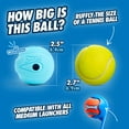 thumbnail image 4 of Chuckit! Whistler Dog Ball Rubber Fetch Toy for Dogs, Medium 2.5", for Breeds 20-60 lb, Pack of 1, Assorted, 4 of 9