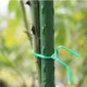thumbnail image 4 of (1 rollo 30m) bridas para cables de jardinería, 4 of 6