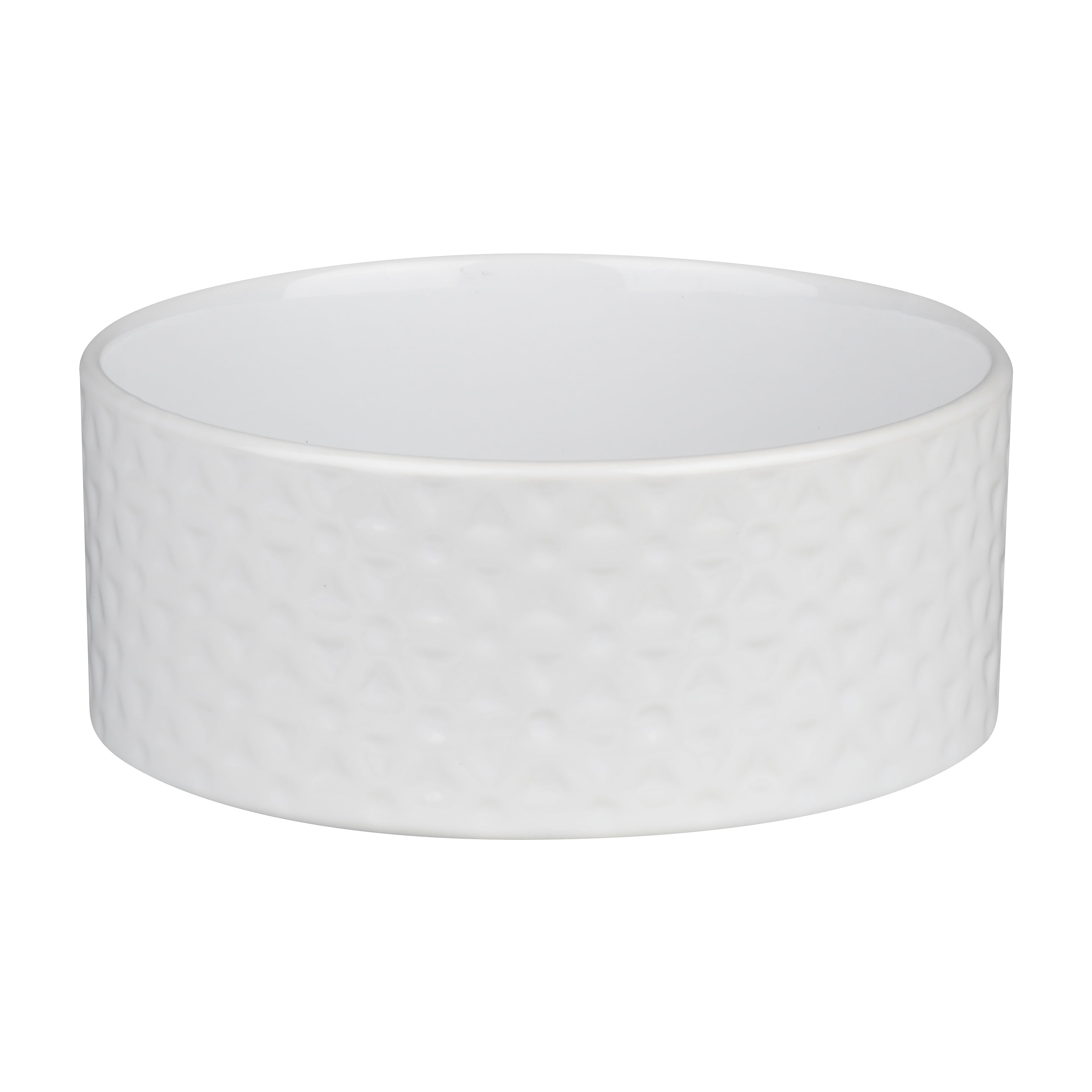 vibrant life pet bowl