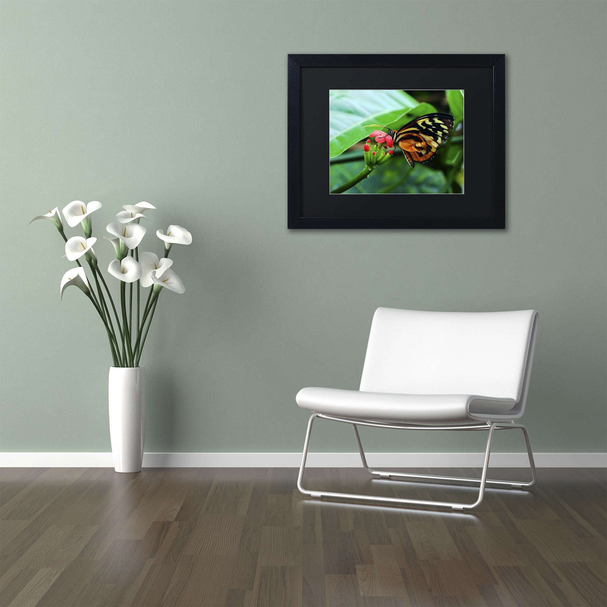 Trademark Fine Art "Cream Spotted Tigerwing" Canvas Art by Kurt Shaffer, Black Matte, Wood Frame