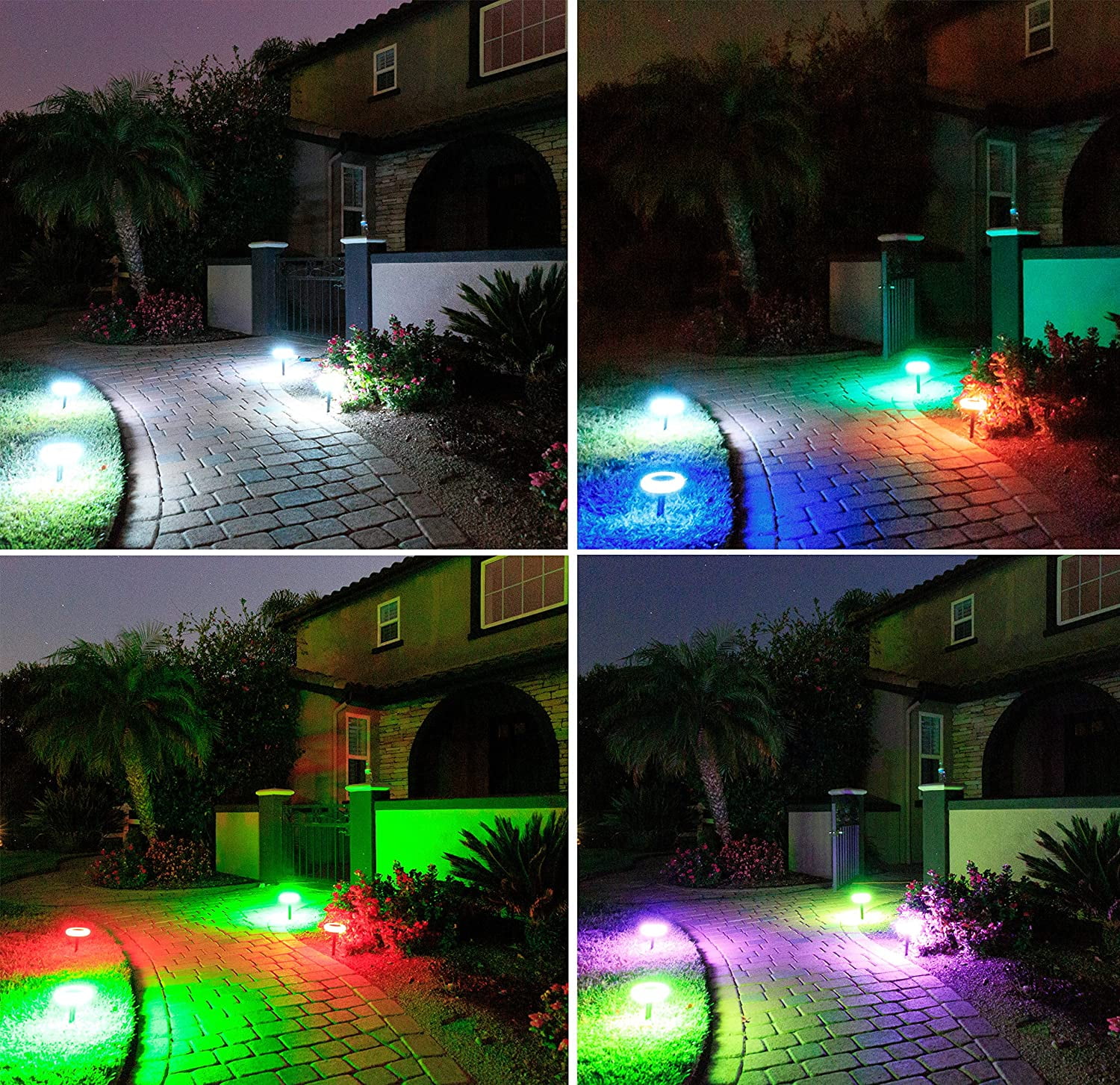 colorize solar lights reviews