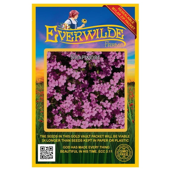 Everwilde Farms - 1000 Soapwort Garden Flower Seeds - Gold Vault Jumbo Bulk Seed Packet