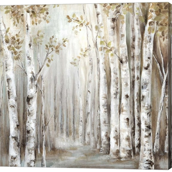Sunset Birch Forest III by Eva Watts, Canvas Wall Art, 12W x 12H