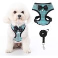 thumbnail image 1 of PUPTECK Small Dog Harness and Leash Set, Soft A-line Chest Strap with Bowite Bell, No Pull Dog Harness for Small Dogs Puppies, 1 of 7