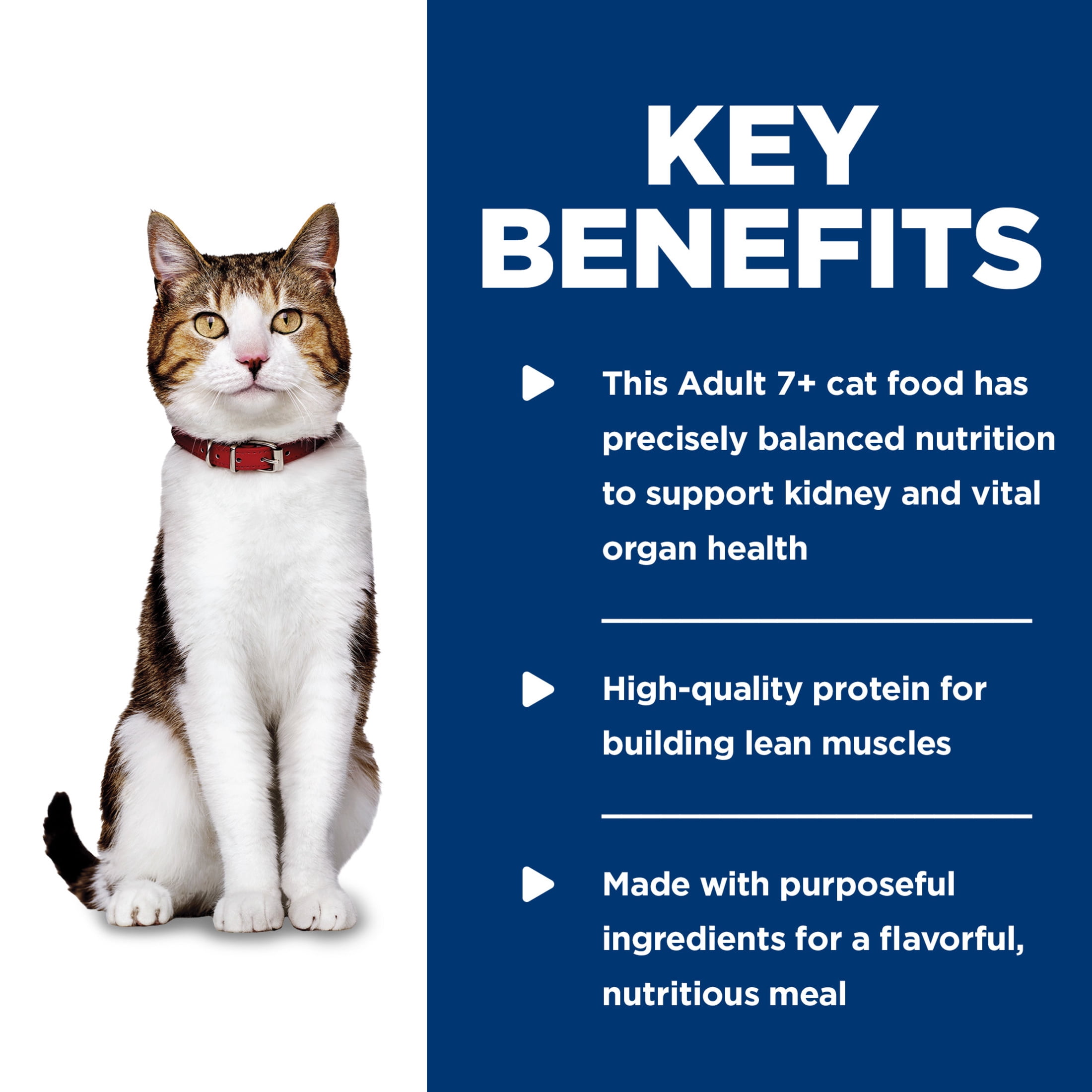 Hill's Science Diet Savory Beef Wet Cat Food for 7+ Senior Cats, 5.5oz Can 24pk