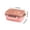 Pink, variant on Bento Lunch Box Adult Microwave-Safe Double-Layer Sealed Compartment Design 20.4 cm x 14.5 cm x 8.3 cm Plastic Food Container