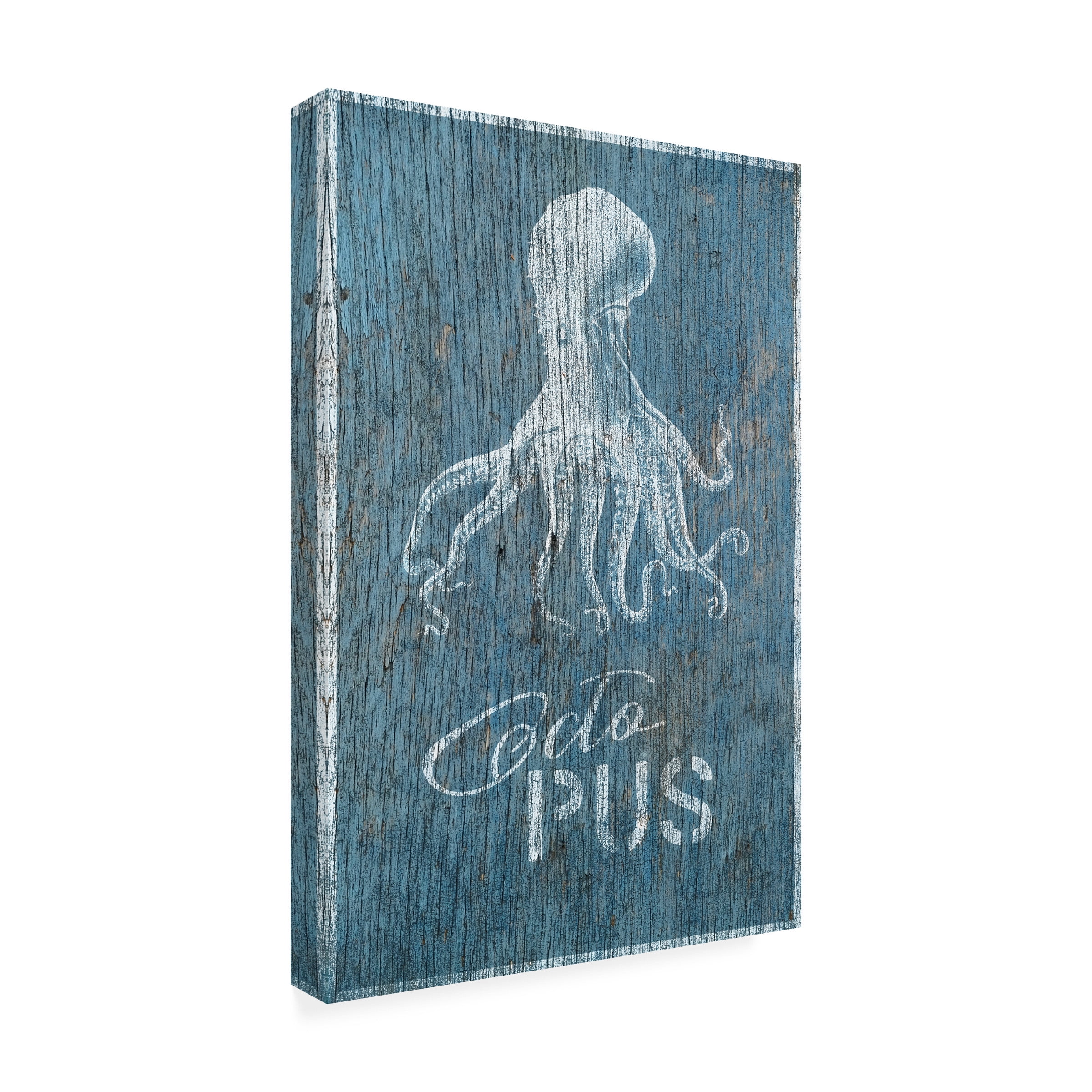 Cora Niele 'Octopus on Blue Wood' Canvas Art