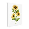 thumbnail image 2 of Annie Warren 'Sunflower Trio II' Canvas Art, 2 of 3