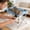 🔥 Blue_Hot#2722, variant on Small Dog Grooming Hammock Bed for Bathing, Nail Trimming and Hair Cutting, Detachable Scratch-Resistant Pet Bathing Rack for Small Dogs and Cats