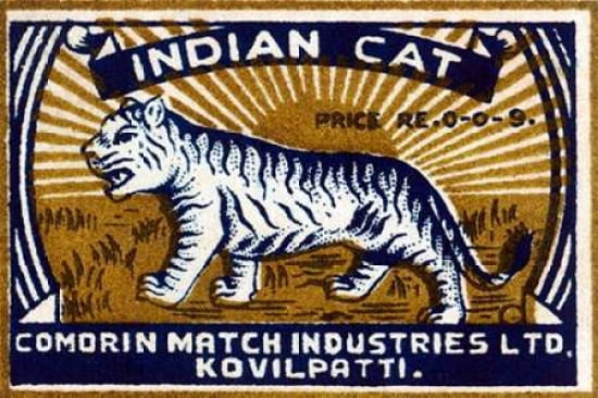 Indian Cat Canvas A