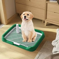 Tvtnvo Dog Potty Tray Indoor Pet Toilet Detachable Washable Flat Bottom Mesh Insert Easy Clean Low Entrance Anti Splash for Small and Medium Dogs Green 18.1x13.8in