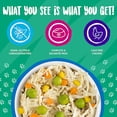 thumbnail image 2 of Classics Funky Chunky Chicken Soup With Pumpkin Wet Dog Food 5.5 oz., Case of 24, 2 of 2