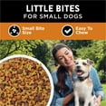 Purina Dog Chow Little AIF4 Bites for Small Breed Dog Food Dry Recipe