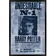 thumbnail image 1 of The Wizarding World: Harry Potter - Undesirable Wall Poster, 22.375" x 34", 1 of 4