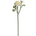 thumbnail image 1 of Hill Interiors Artificial Ranunculus Spray, 1 of 1