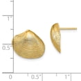 thumbnail image 3 of FB Jewels 14K Yellow Gold Clam Shell Post Earrings, 3 of 3