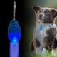 thumbnail image 3 of Collar de perro LED Vhermosa brillante Colgante luminoso para mascota Con hebilla Azul, 3 of 6