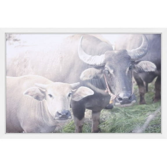 Marmont Hill "Curious Bovines" Framed Painting Print
