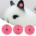 thumbnail image 4 of Animal Ear Labels, 100Pcs Plastic Ear Number Rabbit Dog Ear Marker Label Ear Tag Marker Animal Identification Ear Tag Animal Ear Tag for Animal Livestock Information Management, 4 of 7