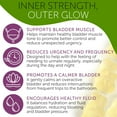 thumbnail image 6 of Bladder Control Supplement for Women | Urinary Tract Health & Feminine Wellness Support | Overactive Bladder Comfort Support | Daily Women’s Urinary Health Formula, 6 of 8