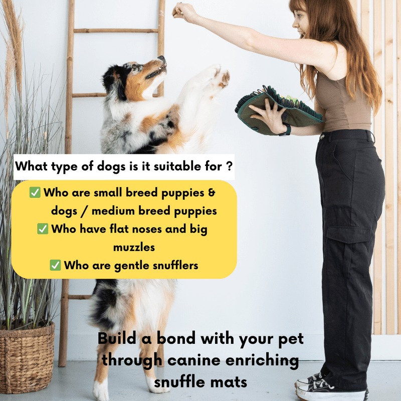 LUVMYFIDO Sushi Enrichment Foraging Snuffle Mat for Dogs, Dog Puzzle Toy, Slow Feeding Mat