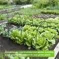 thumbnail image 3 of MesaSe Garden Mesh Netting Kit Insect Bird Barrier Netting Greenhouse Set For Protect Plants From Insect Bird Eating, 3 of 8