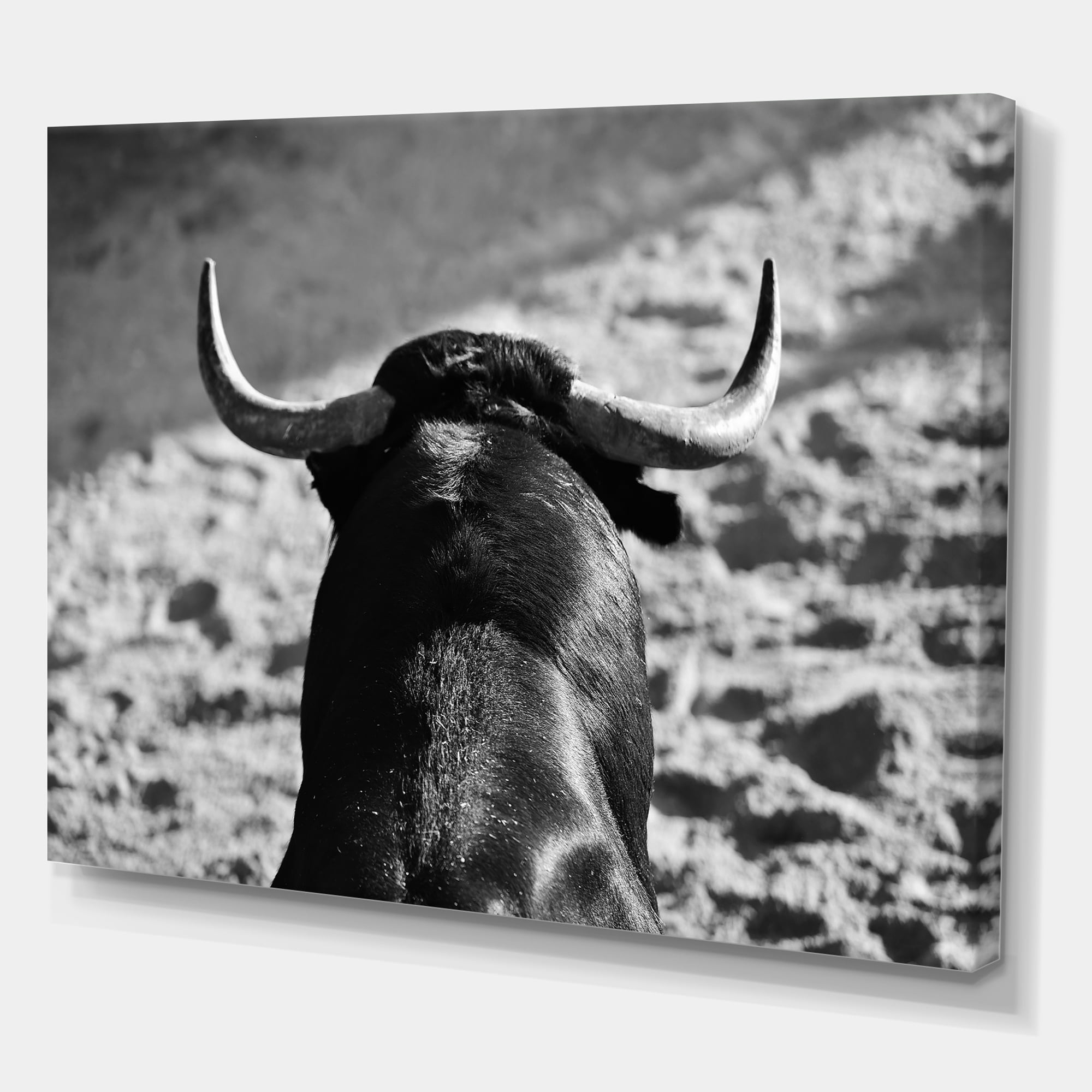 Designart ' Black and White Portrait Of A Spanish Bull II ' Farmhouse Canvas Wall Art Print