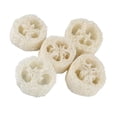 thumbnail image 2 of 5 X Esponja de Cocina de Esponja de Pepino Natural Lavable Luffa SM SunniMix Depurador de esponja de esponja natural, 2 of 8
