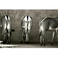 thumbnail image 2 of Lawhorn, Courtney 14x11 Gold Ornate Wood Framed with Double Matting Museum Art Print Titled - Zebra Butts, 2 of 4
