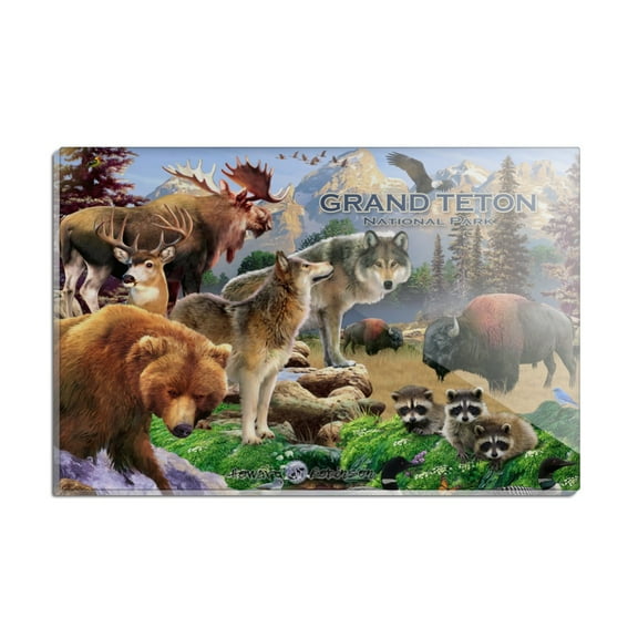 Grand Teton National Park Wyoming Animals Wolves Moose Bear Bison Rectangle Acrylic Fridge Refrigerator Magnet