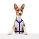 thumbnail image 4 of Arnés Para Perro Importadora La Merced Estampado De Huellitas Azul Talla mediana, 4 of 4